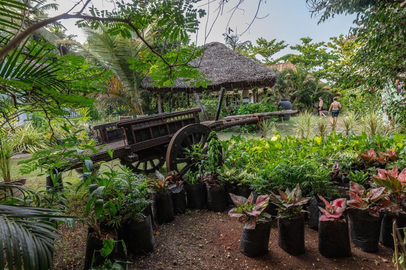 Akasa Goa Otel Palolem Dış mekan fotoğraf